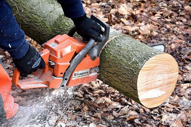 A chainsaw cutting a tree in logs