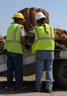 Two workers removing a stump