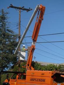 A worker removing branches from around power lines