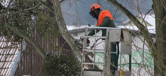 Emergency worker cutting a tree